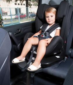 Casualplay Kangur Fix